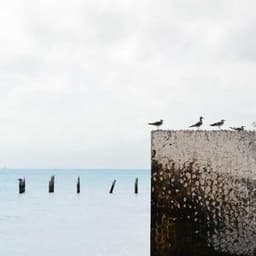 안효섭