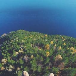 아리아나 그란데